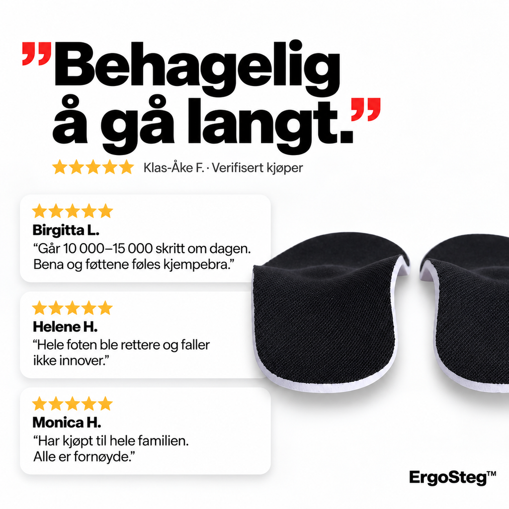 ErgoSteg
